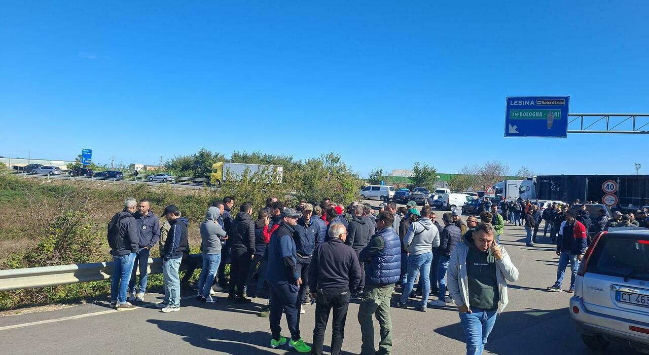 autotrasportatori e agricoltori annunciano fermiamo i viaggi dalla puglia al nord da Quotidianodipuglia.it autotrasportatori e agricoltori annunciano fermiamo i viaggi dalla puglia al nord