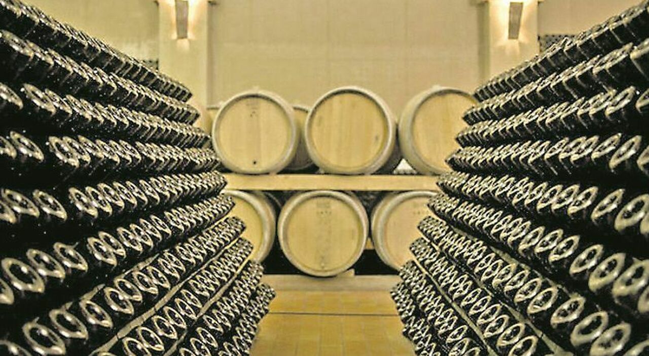 crisi del vino in puglia tra costi alle stelle e prezzi delle uve in calo ma la qualit224 resta d eccellenza da Quotidianodipuglia.it crisi del vino in puglia tra costi alle stelle e prezzi delle uve in calo ma la qualit224 resta d eccellenza