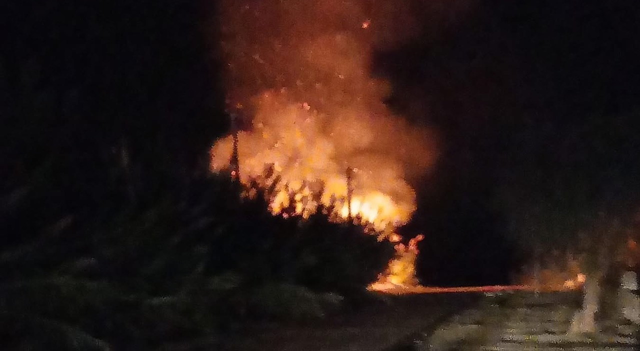 pescoluse due incendi distruggono i canneti vicino alla spiaggia indagini sui roghi a salve da Quotidianodipuglia.it pescoluse due incendi distruggono i canneti vicino alla spiaggia indagini sui roghi a salve