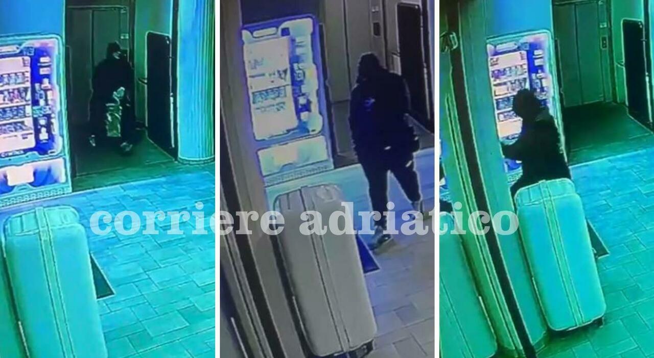 sfonda a calci la vetrina della farmacia perogio a castelfidardo fuga con i soldi ladro ripreso dalle spycam video da Corriereadriatico.it sfonda a calci la vetrina della farmacia perogio a castelfidardo fuga con i soldi ladro ripreso dalle spycam video