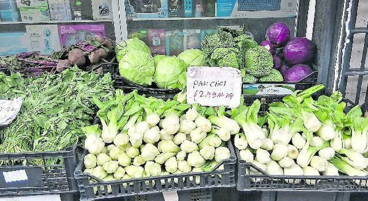 blocco dei tir nei mercati di roma prezzi record pomodori e lattuga a 10 euro al kg tre chili di radicchio a 15 euro da Ilmessaggero.it blocco dei tir nei mercati di roma prezzi record pomodori e lattuga a 10 euro al kg tre chili di radicchio a 15 euro