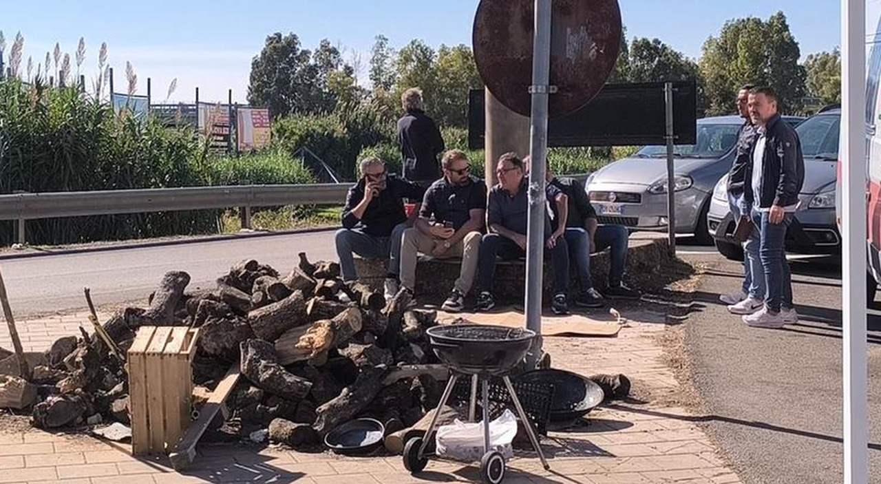 rivolta autotrasportatori prime prove di schiarita ma lo sblocco 232 a met224 cosa succede ora e perch233 gli scaffali sono ancora vuoti da Quotidianodipuglia.it rivolta autotrasportatori prime prove di schiarita ma lo sblocco 232 a met224 cosa succede ora e perch233 gli scaffali sono ancora vuoti