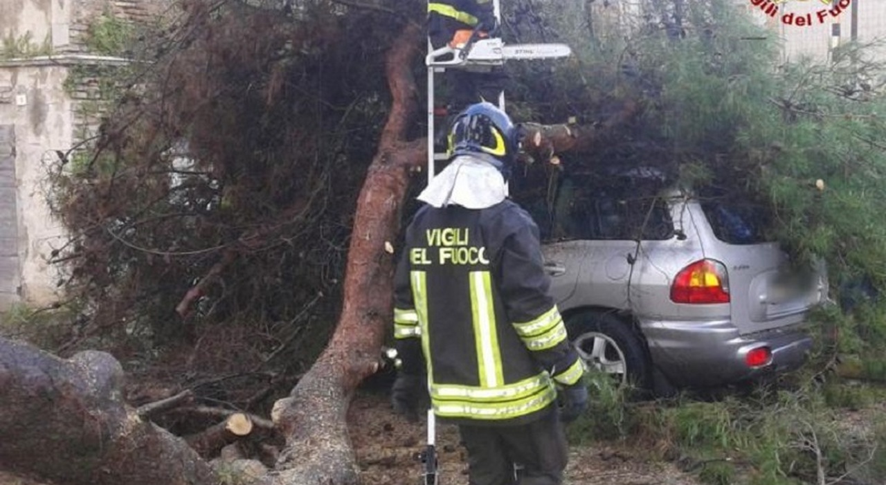jesolo platano crolla sull auto di un militare mentre va al lavoro morto a 46 anni a causare il cedimento 232 stato il maltempo