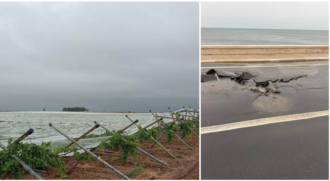 maltempo danni a vigneti e voragini nell asfalto la furia di vento e pioggia in puglia da Quotidianodipuglia.it maltempo danni a vigneti e voragini nell asfalto la furia di vento e pioggia in puglia
