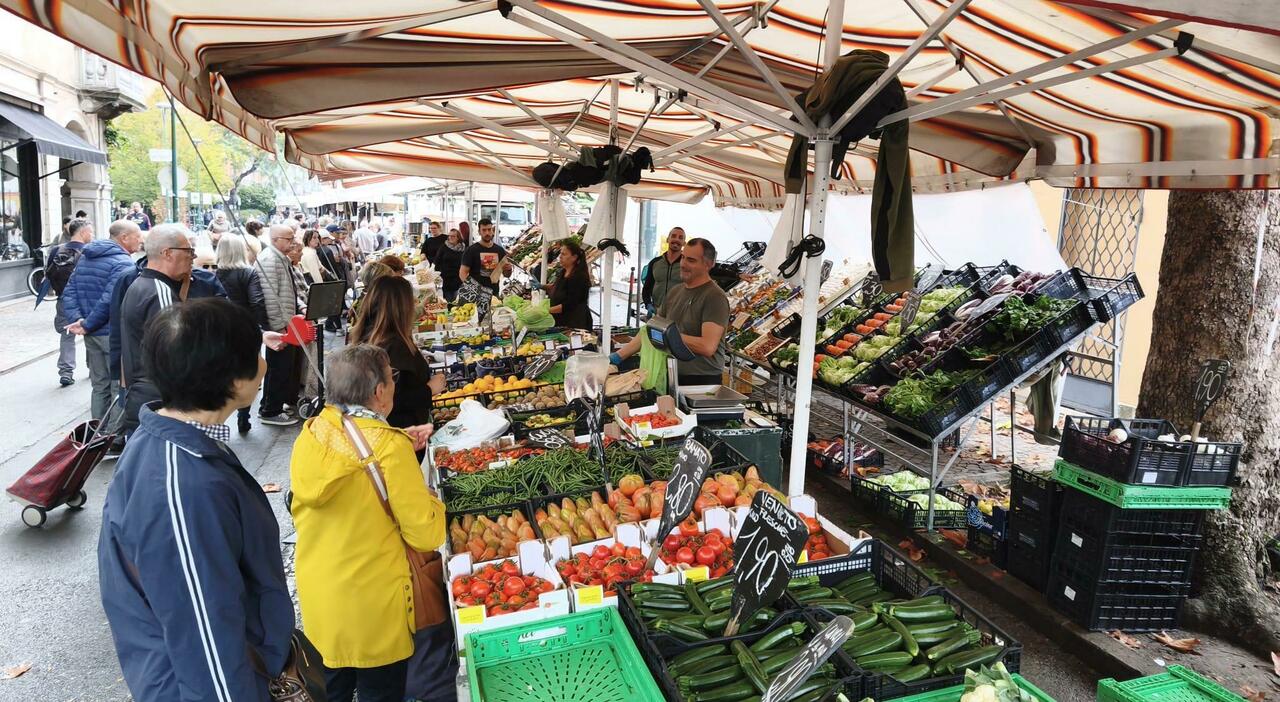 mercato di mestre la denuncia dei commercianti italiani prezzi stracciati dagli stranieri e regole ignorate da Ilgazzettino.it mercato di mestre la denuncia dei commercianti italiani prezzi stracciati dagli stranieri e regole ignorate