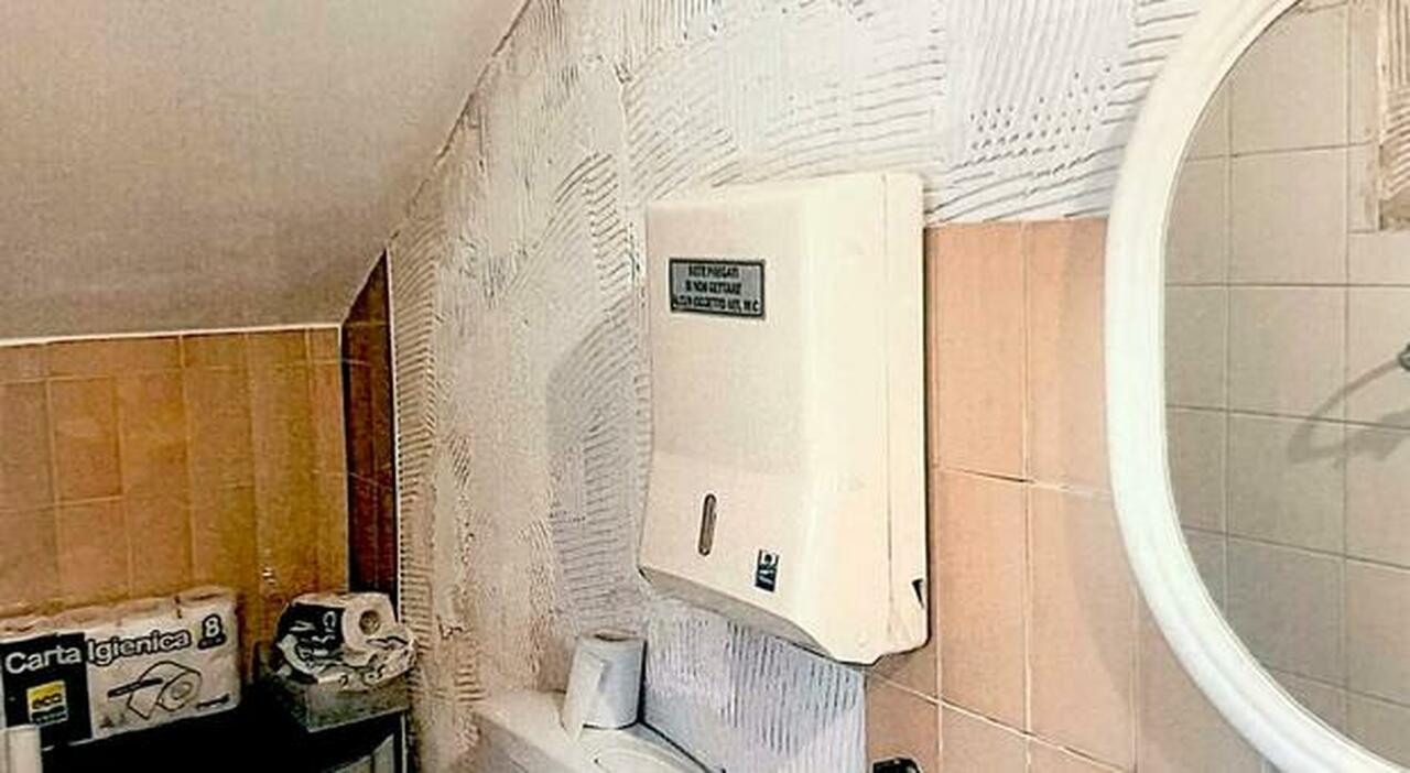 topi nella postazione del 118 scatta la diffida dellusb allasl da Quotidianodipuglia.it topi nella postazione del 118 scatta la diffida dellusb allasl