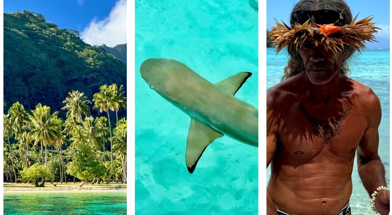 Viaggio a Moorea, la Polinesia bella e possibile
