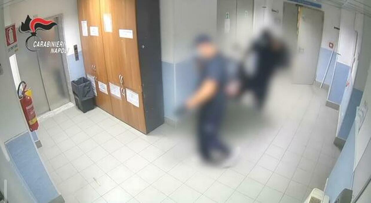 ospedale pascale furto di farmaci salvavita il valore 232 di 822mila euro anche un vigilante nella banda da Ilmattino.it ospedale pascale furto di farmaci salvavita il valore 232 di 822mila euro anche un vigilante nella banda