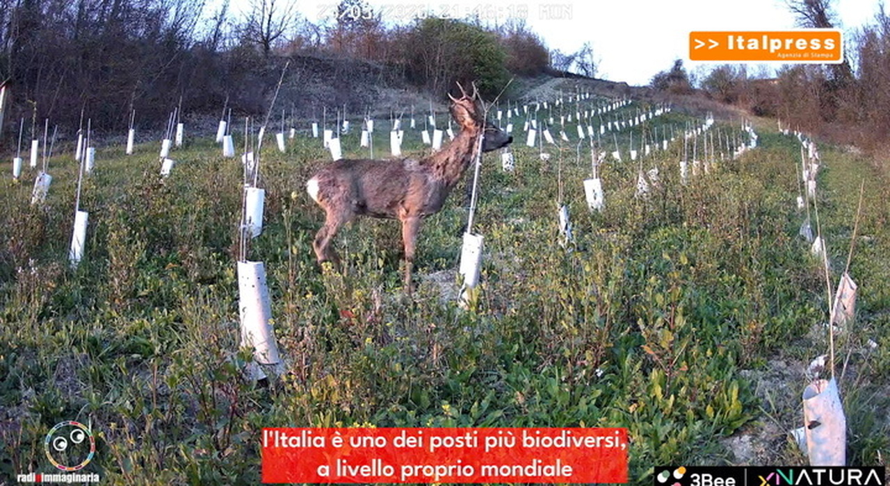 https://statics.cedscdn.it/photos/MED_HIGH/2026/10/23/9844378_poster.jpg