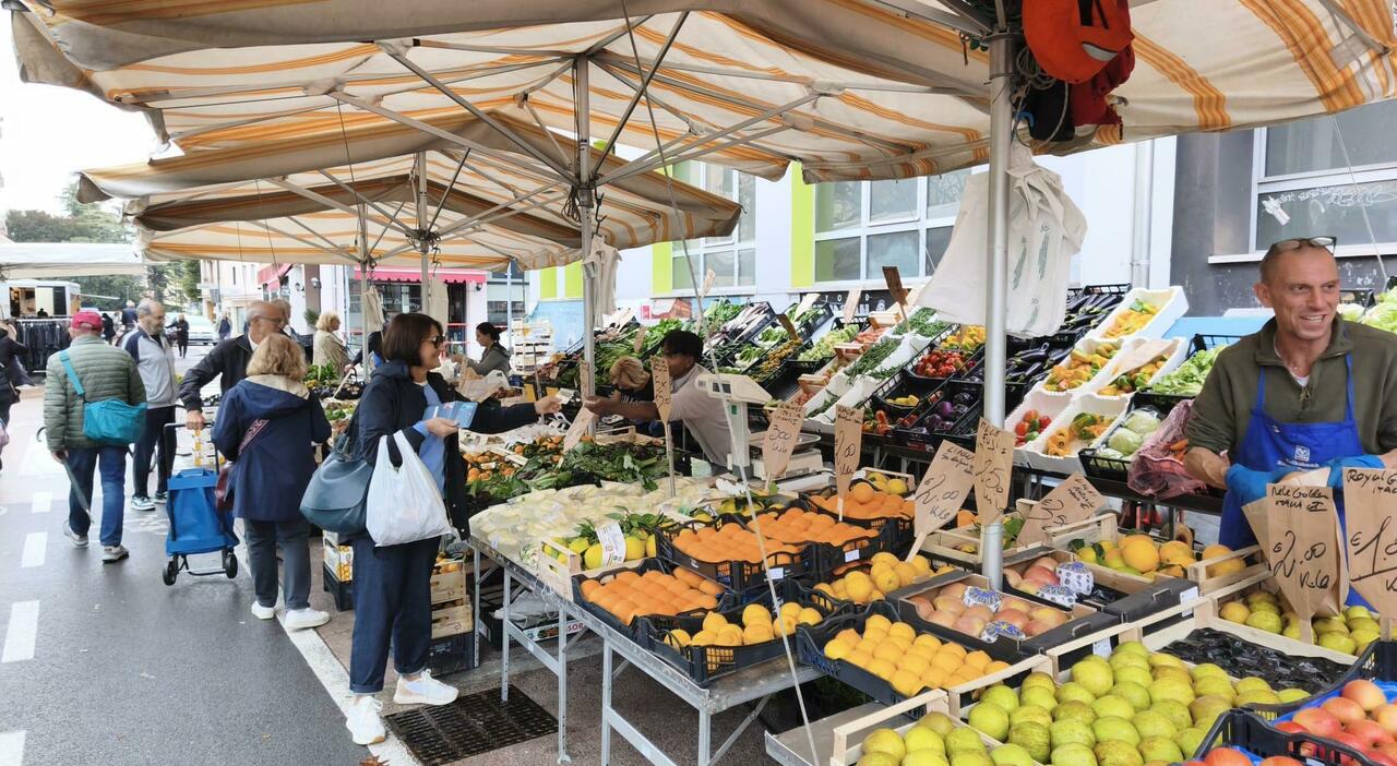 mercato di mestre 9 banchi di ortofrutta su 13 sono bengalesi 200 scontro ora regole uguali per tutti da Ilgazzettino.it mercato di mestre 9 banchi di ortofrutta su 13 sono bengalesi 200 scontro ora regole uguali per tutti