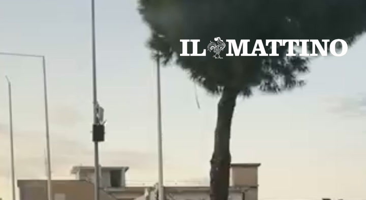 https://statics.cedscdn.it/photos/MED_HIGH/2026/10/26/9849906_poster.jpg