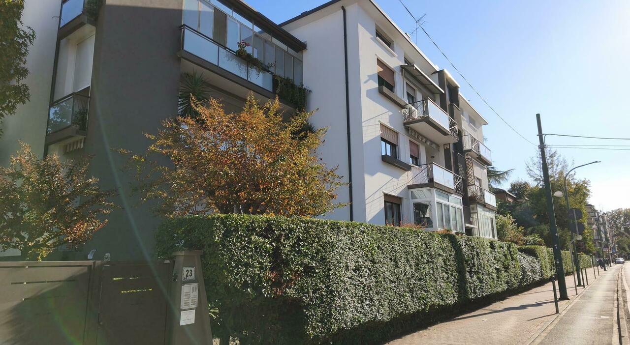 siepe sporge di 15 centimetri sul marciapiede multa da 180 euro a tutti i dodici proprietari del condominio da Ilgazzettino.it siepe sporge di 15 centimetri sul marciapiede multa da 180 euro a tutti i dodici proprietari del condominio