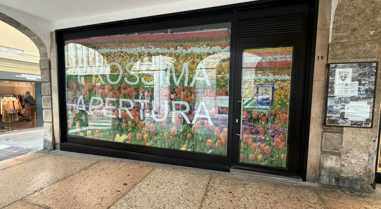 la boutique delle borse di lusso coccinelle al posto dello storico negozio di dolciumi in centro storico da Ilgazzettino.it la boutique delle borse di lusso coccinelle al posto dello storico negozio di dolciumi in centro storico