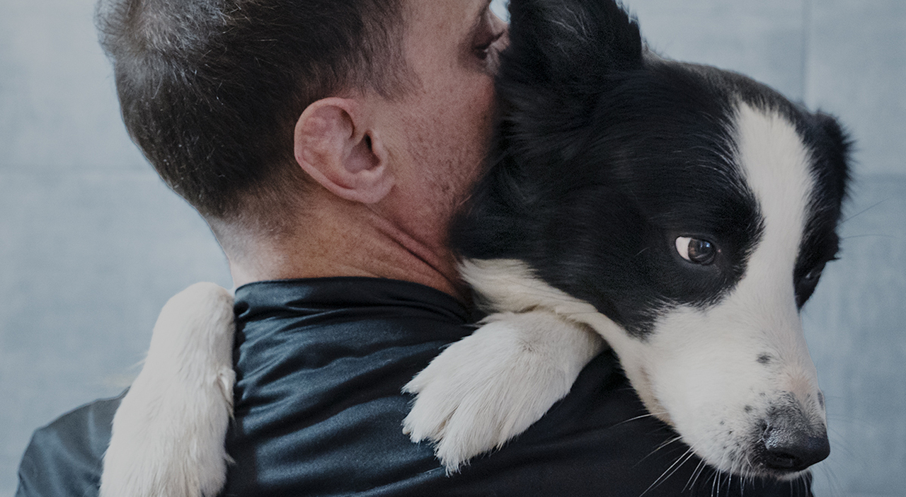 Roma, ecco Aldo «il quartiere viene monitorato dal cane indipendente, gli mancano solo le chiavi di casa»