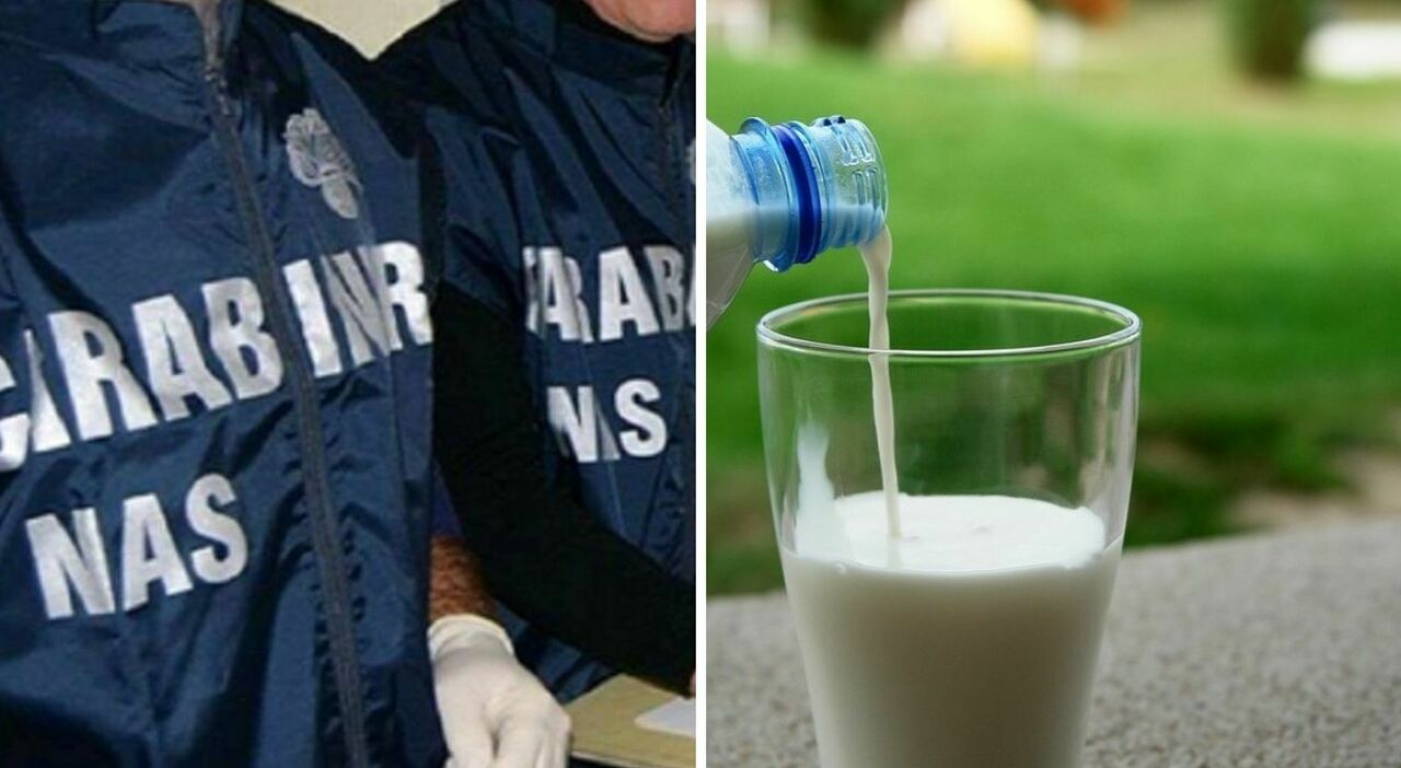 Latte con soda caustica, attesa per le analisi delle 200 tonnellate di prodotto sequestrato
