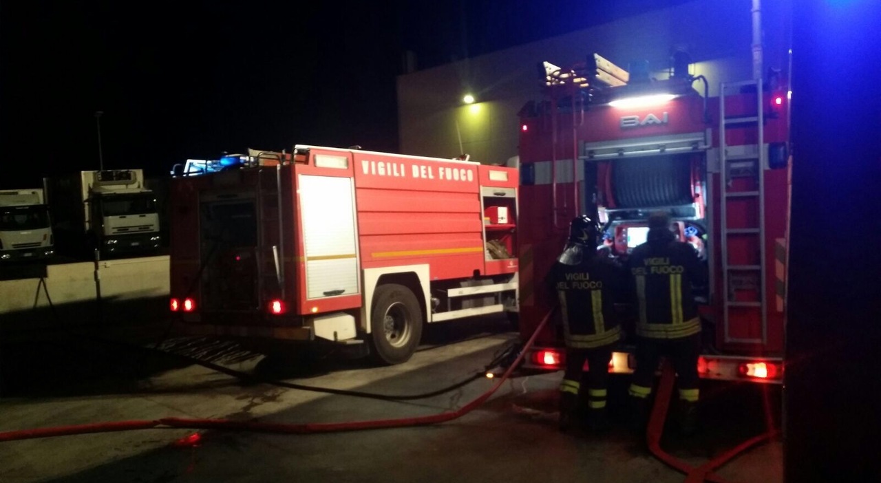 Incendio in casa, salvo per miracolo insieme al suo pitbull