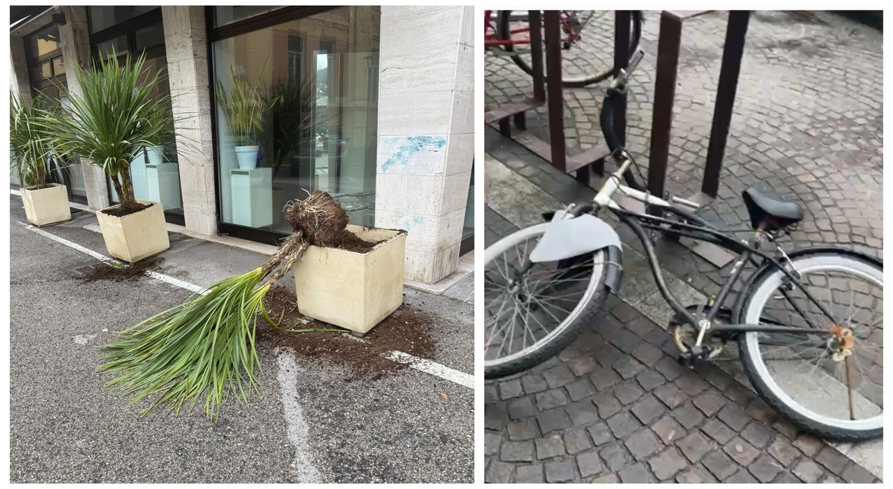 L?incubo dei baby vandali sul centro di Pesaro: telecamere al setaccio e più pattuglie dei vigili in piazzale Matteotti e largo Micciché