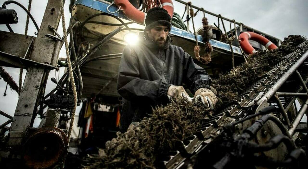 Motore ko, peschereccio affonda. Tre marinai in acqua, tutti salvi. ?Si è inabissata la cozzara dell