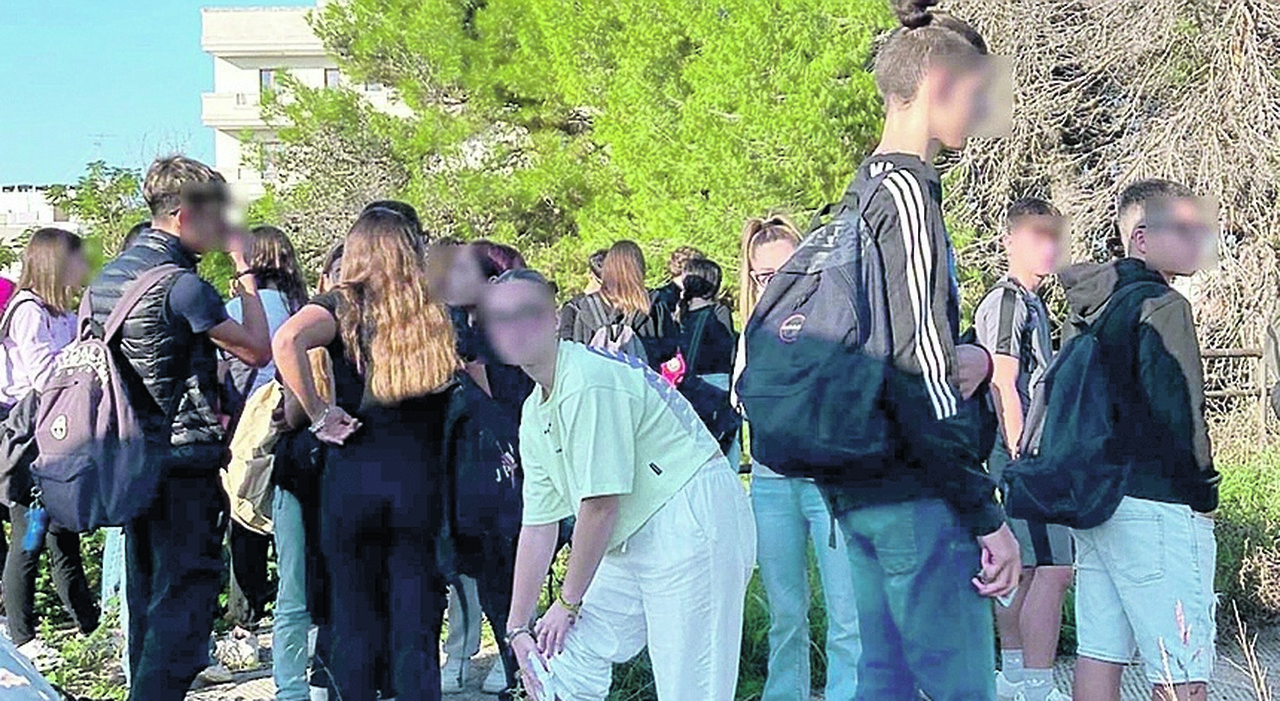 Studenti feriti sul pullman: «Basta bus pollaio». E la Provincia convoca le aziende