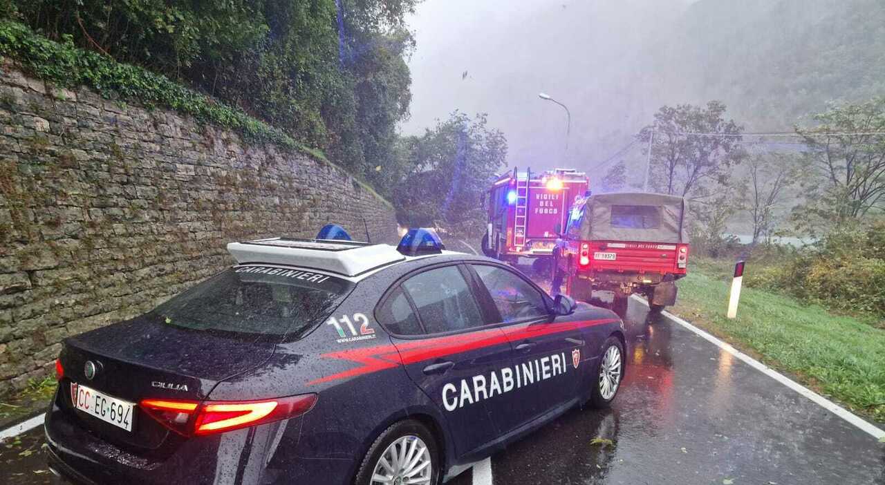 Maltempo sul Fadalto: albero crolla sull