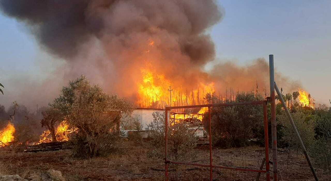 Vasto incendio 