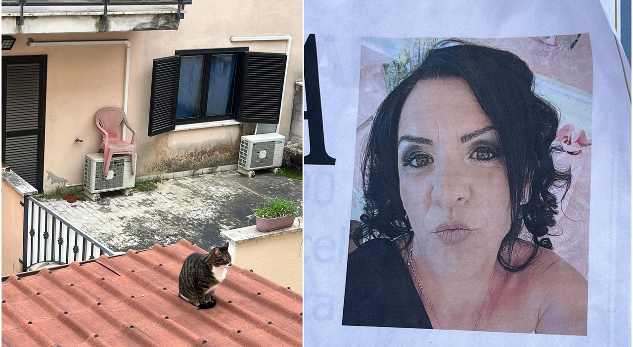 Woman Dies Trying to Rescue Cat from Roof in Nettuno