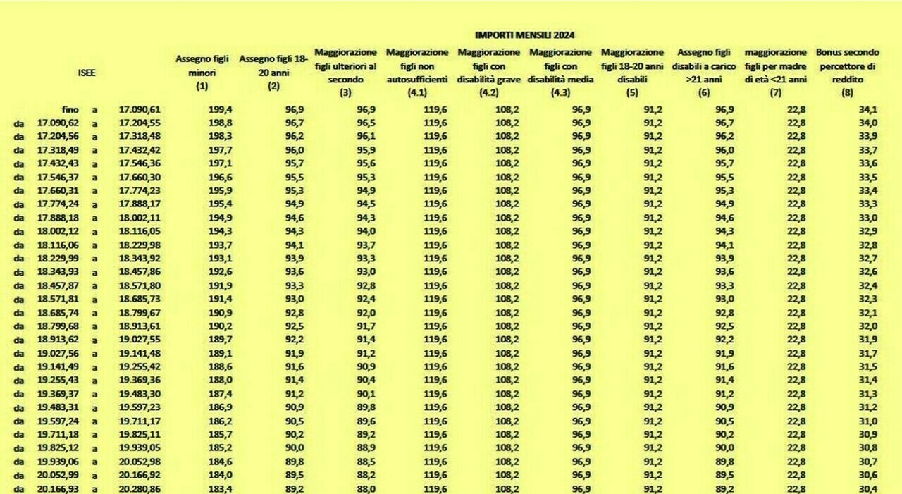 Pagamenti di novembre 2024 dell