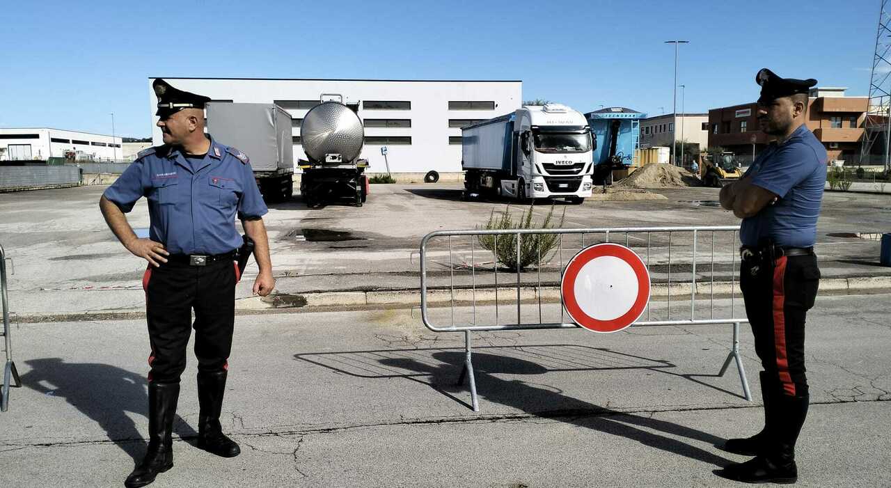 Civitanova, allarme peste suina: sversamento di liquami dal tir che porta carcasse di maiale, strada chiusa