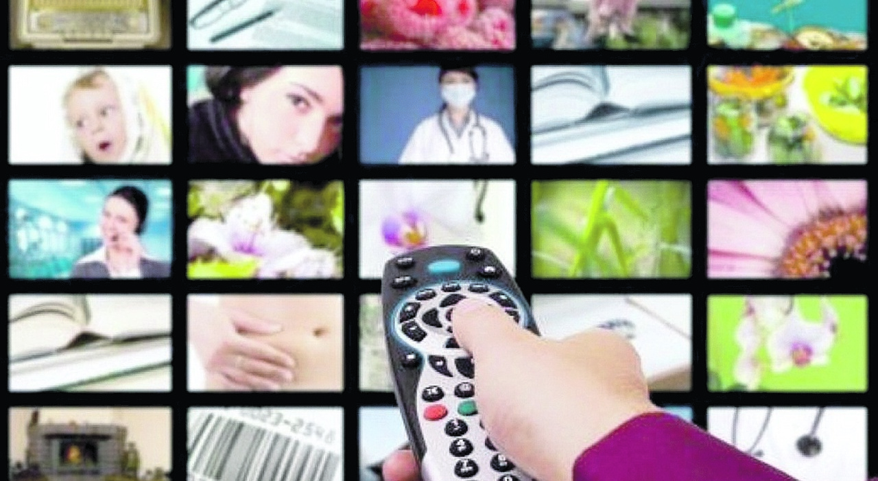 Collage Rules Com