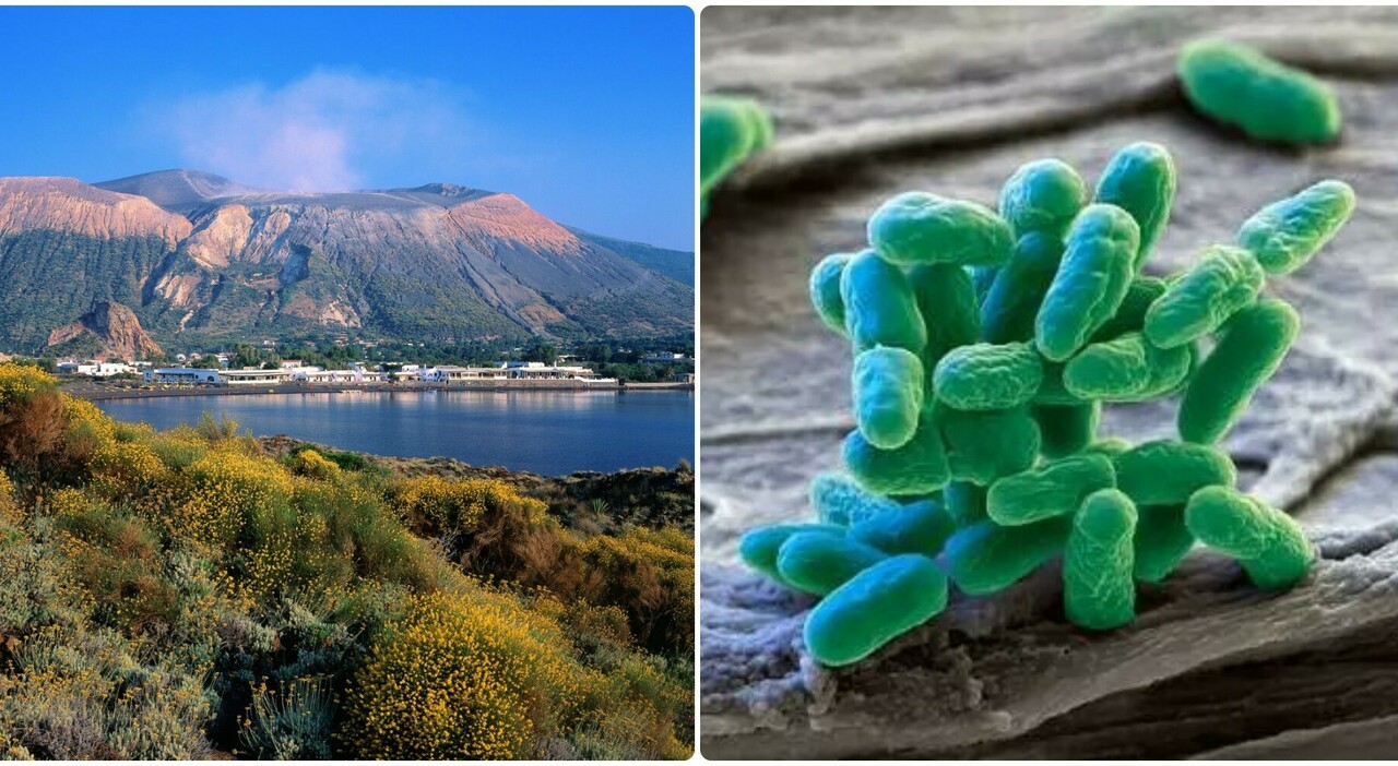 Photo of Isola di Vulcano, a bacterium that devours carbon dioxide molecules “with astonishing speed” has discovered the benefit of cleaning up the atmosphere