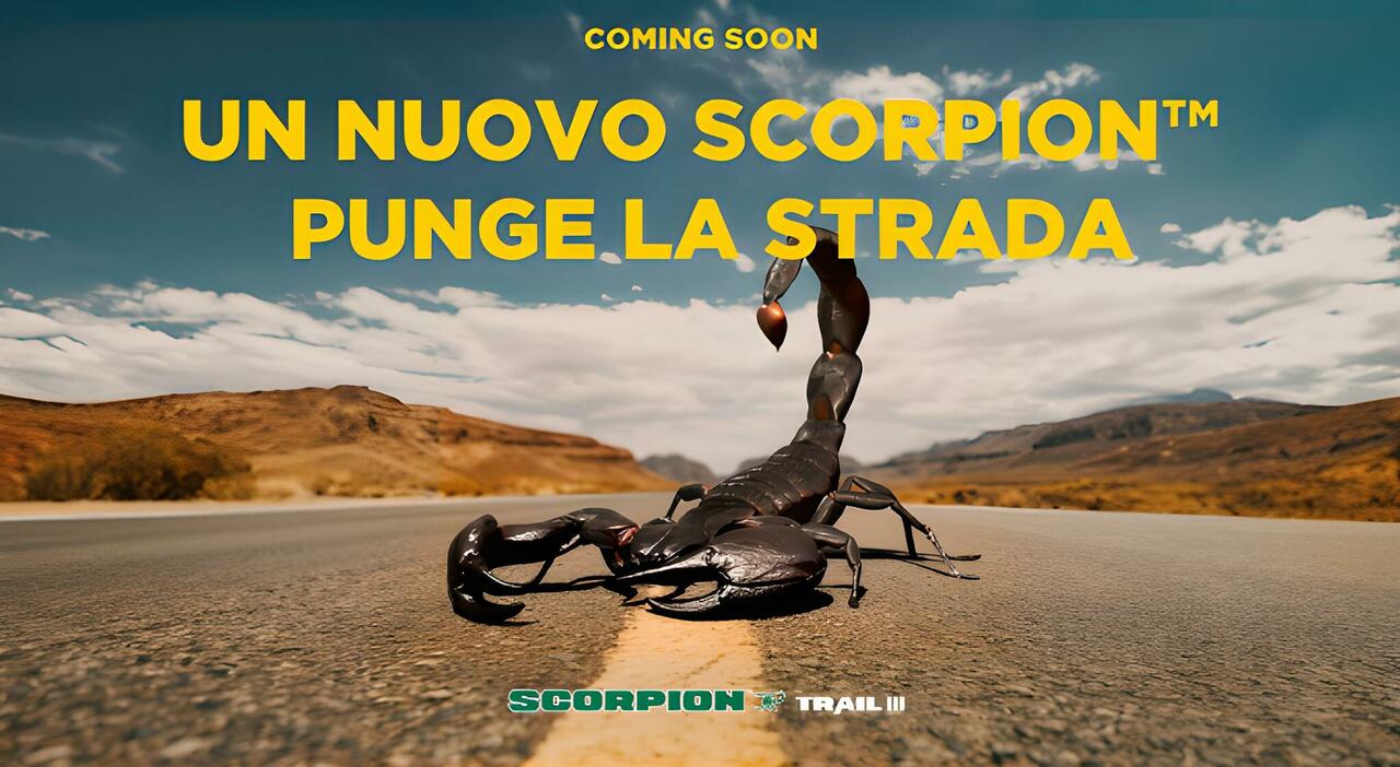 Scorpion Trail III
