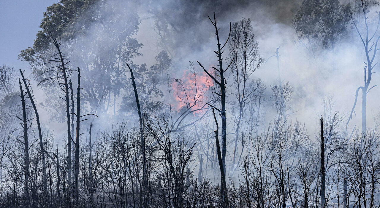 Incendio Monte 