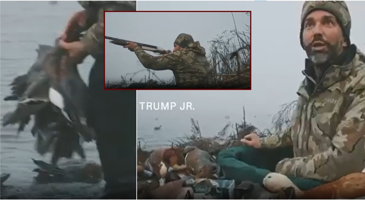 Donald Trump Jr spara a una specie protetta nella laguna di Venezia, il figlio del presidente Usa ripreso in un video: la protesta delle associazioni