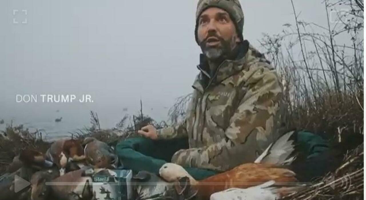 Donald Trump jr a caccia in laguna: «Uccise specie protette». Denunciato e passibile di sanzione: in Veneto ci vuole il tesserino