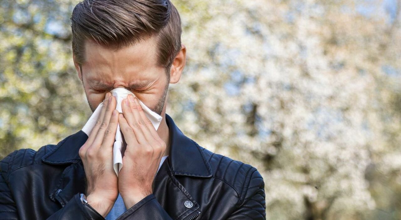 Over 10 Million Italians Affected by Flu and Allergies: A Comprehensive Overview