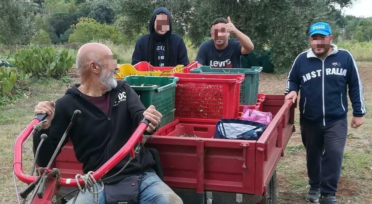 Crescita delle fattorie sociali: l’iniziativa di giovani autistici a Roma Sud