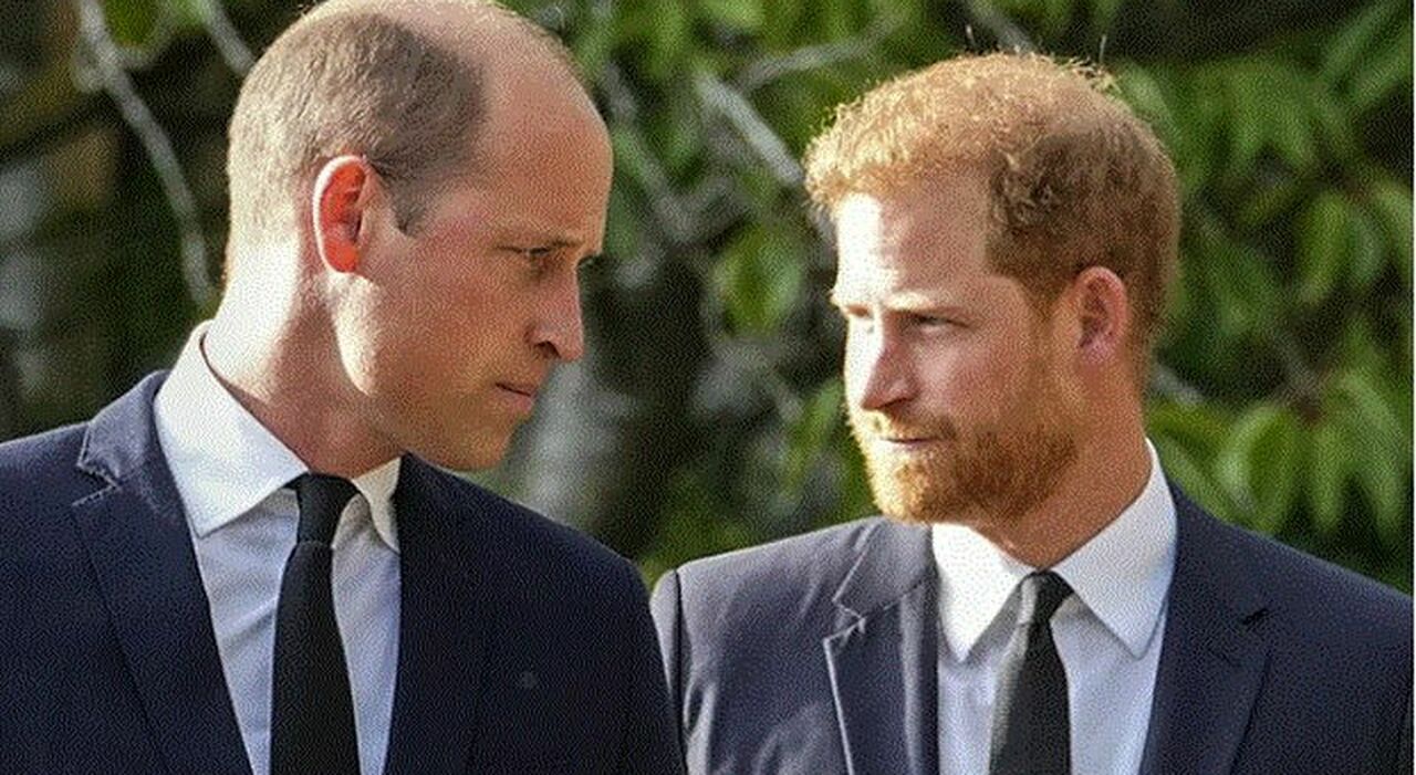 La divisione fra William e Harry all'evento in memoria di Diana