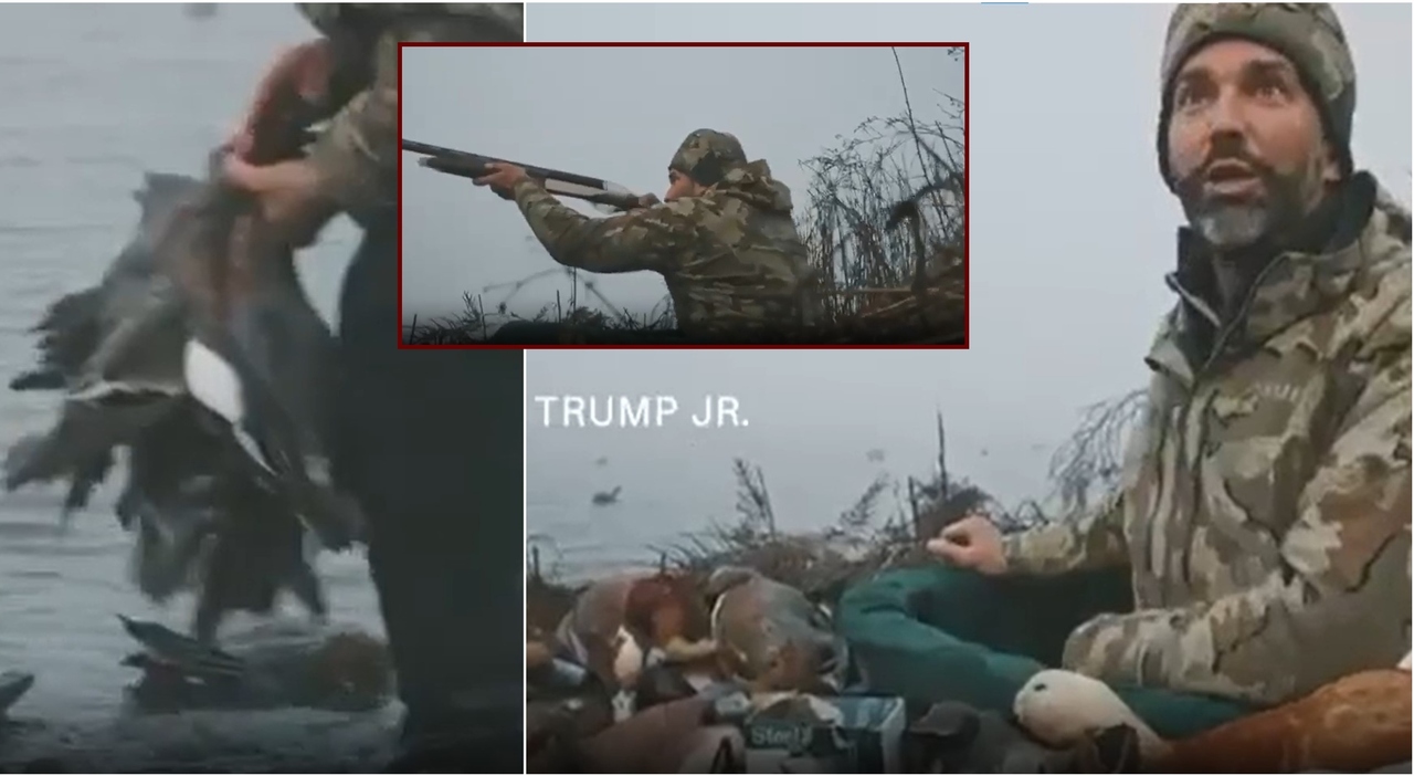 Trump Jr spara a una specie protetta nella laguna di Venezia, il figlio del presidente Usa immortalato in un video