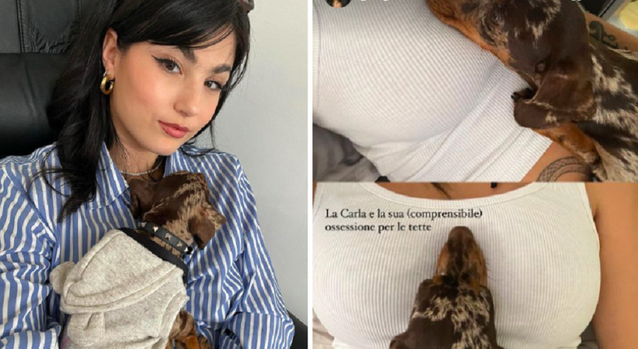 Giorgia Soleri e la strana ossessione del suo cane: «Le te**e piacciono a  tutti». Ma i fan notano altro: «Potresti fartela una ceretta»