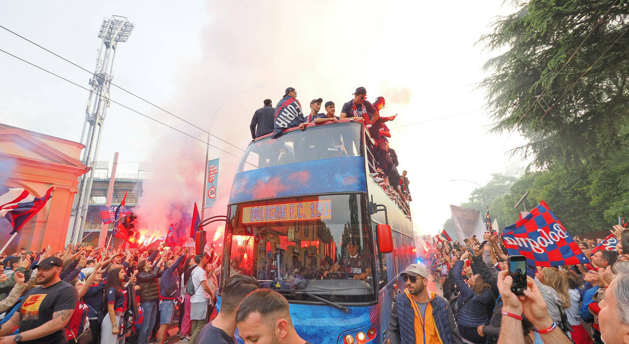T-Shirt Bologna Tifosi - Maglia Cotone 100%, Uomo E Bambino, Made In Italy - Foto 9