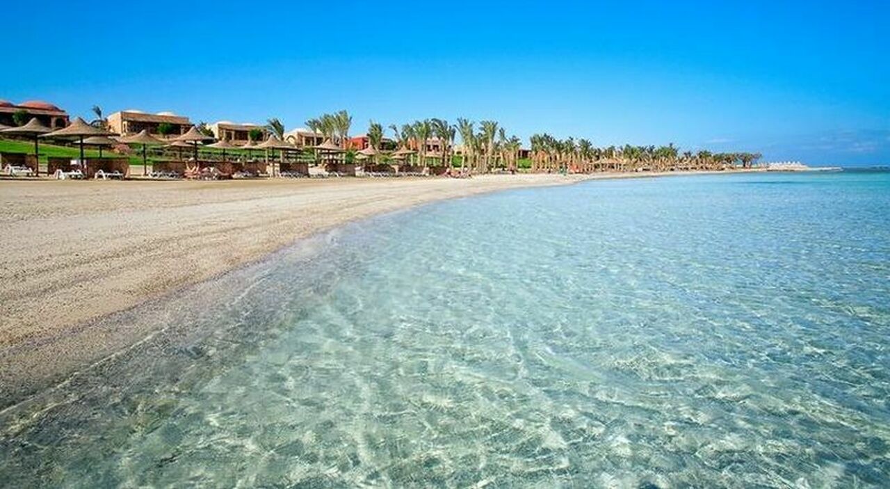 Turista italiano ucciso da uno squalo nel Marsa Alam durante un