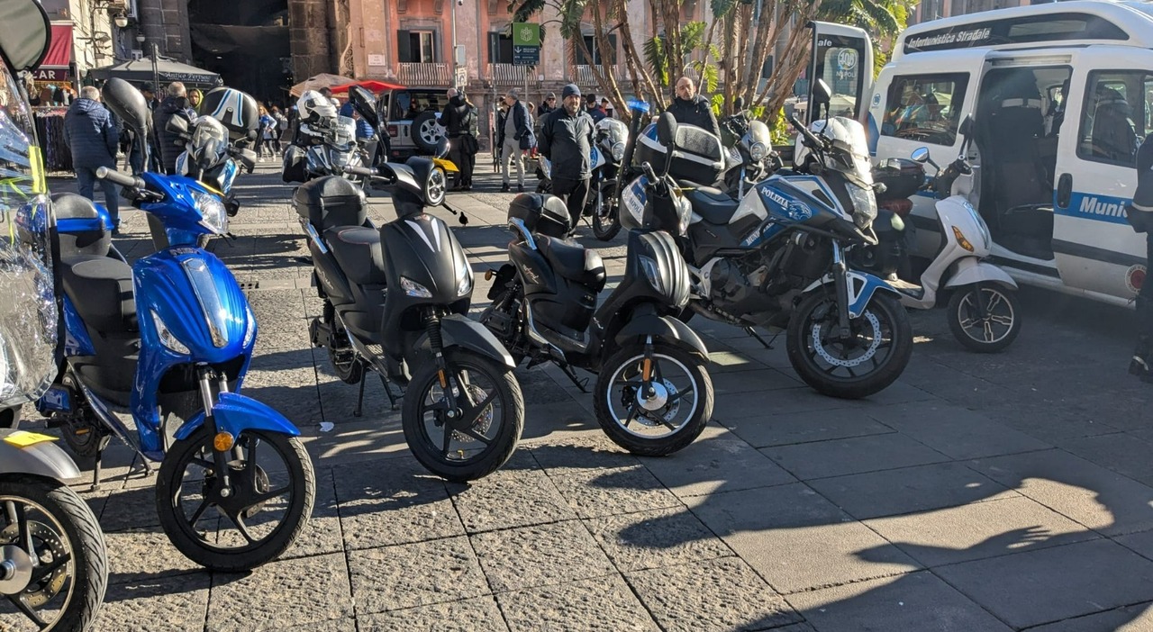 Traffic and Commercial Violations Lead to Seizures and Fines in Naples