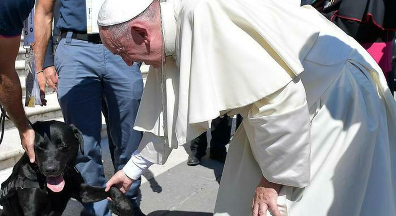 Papa Francesco criticato sul web per le parole su cani e gatti trattati come figli