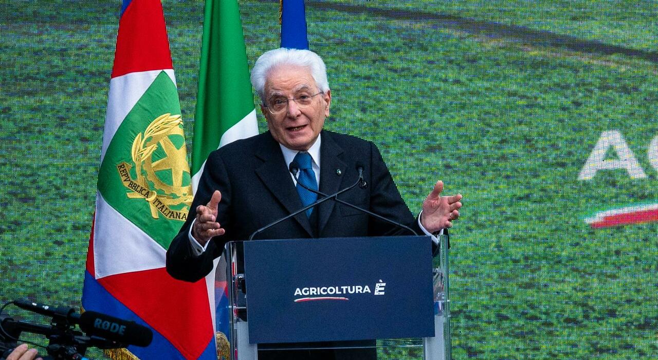 Mattarella: «Dazi inaccettabili, l