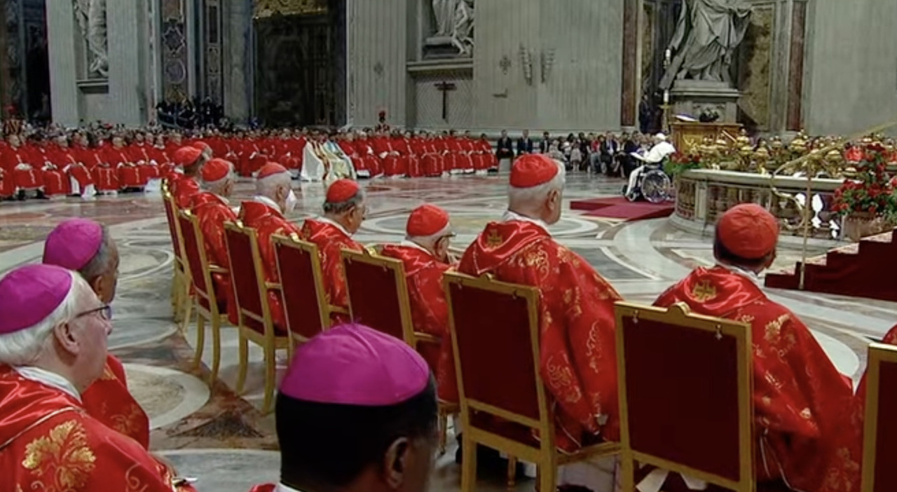 Die Zukunft der Diözesen ohne Kardinäle unter Papst Franziskus