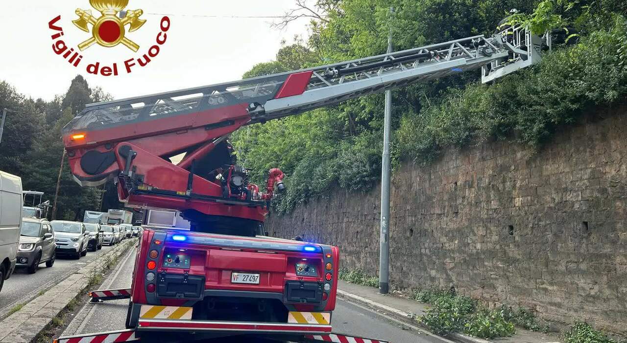 Fear on the Pincio Terrace: 20-Year-Old Girl Falls from Wall in Central Rome