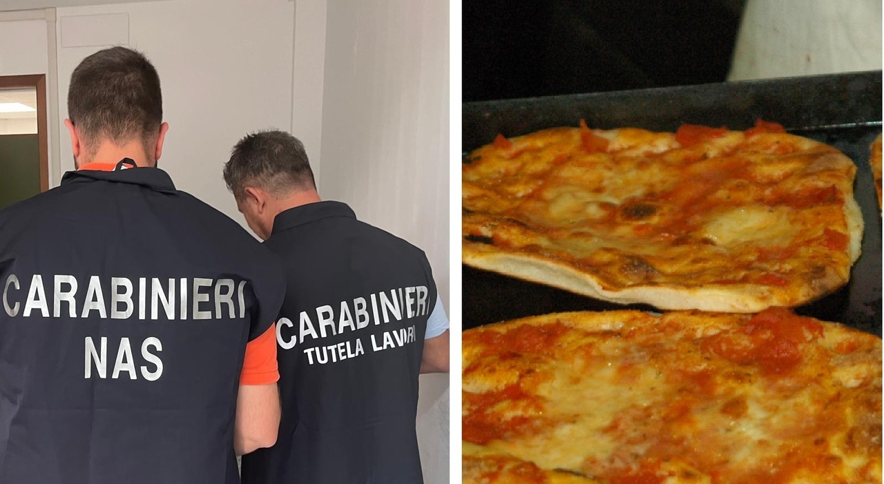 Senigallia, blatte morte ed escrementi di topi anche sulle teglie: pizzeria chiusa e multa da mille euro