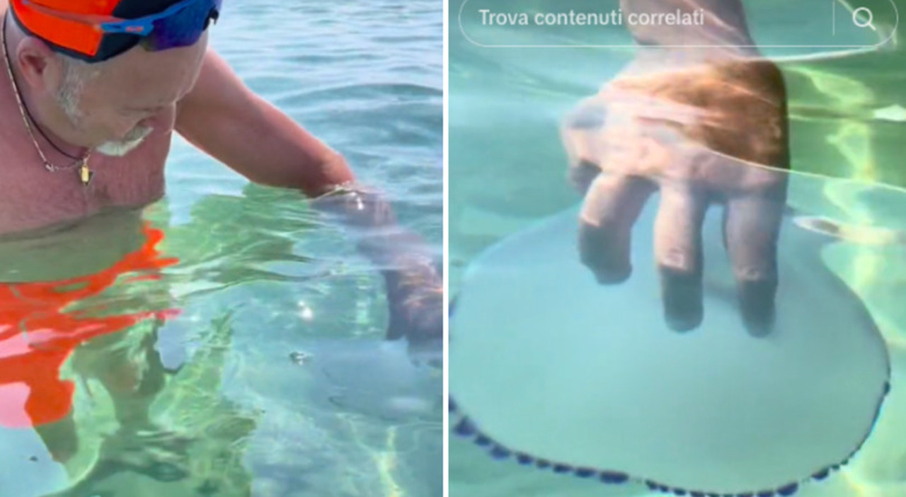 Vasco Rossi’s Summer Holidays in Puglia: Playing with Jellyfish and Outrage from Marine Expert