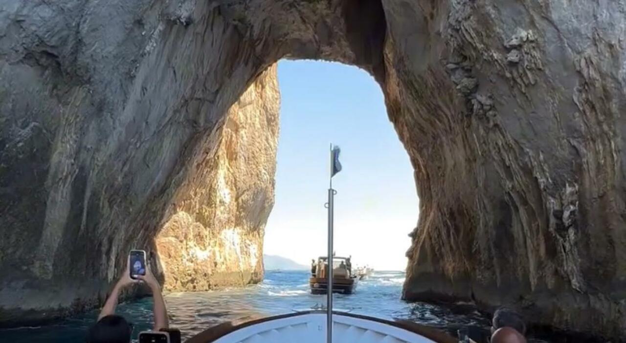 Capri fioccano 