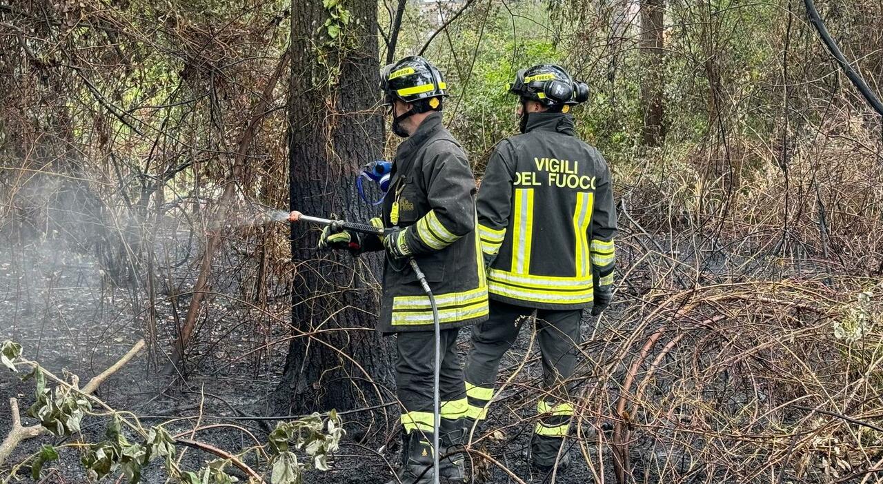 Concorso vigili del fuoco, bando per 350 posti: requisiti (età e titoli) e prove. Come fare domanda